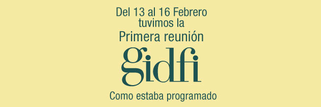 Primera Reunión del GIDFI.